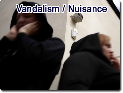 Vandalism / Nuisance